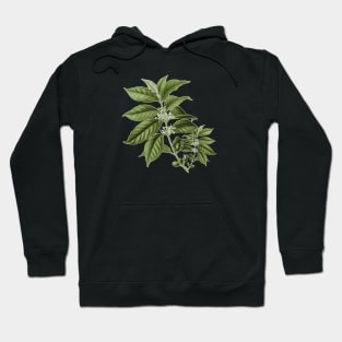 LEAF Hoodie